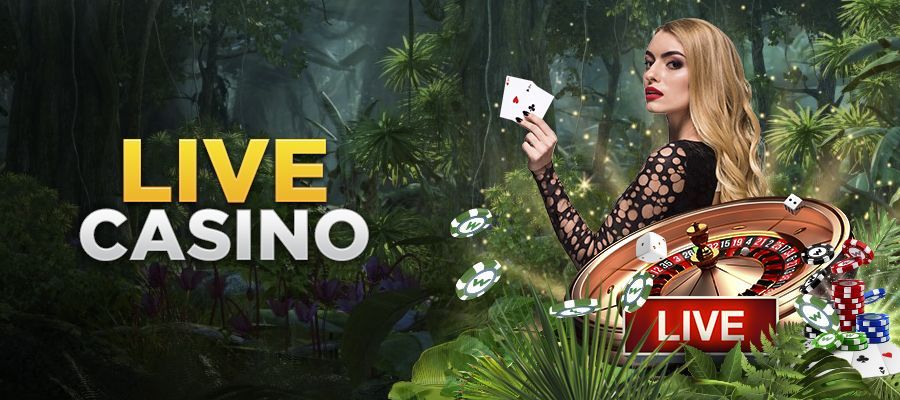 Cách chơi Live Casino tại Sunwin